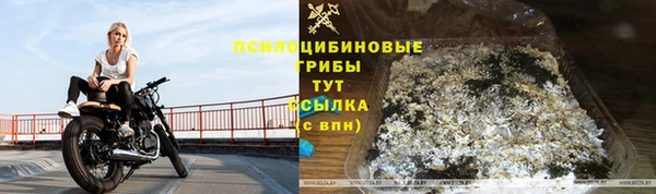 соль ск Медвежьегорск