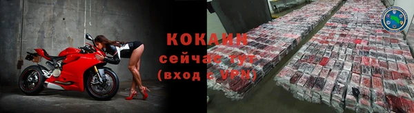 ПСИЛОЦИБИНОВЫЕ ГРИБЫ Михайлов
