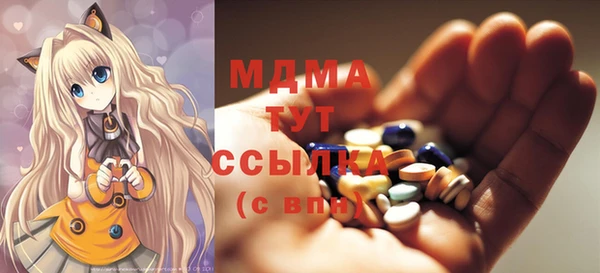 ПСИЛОЦИБИНОВЫЕ ГРИБЫ Михайлов