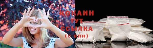 стаф Медногорск