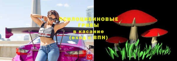 стаф Медногорск