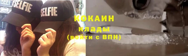 стаф Медногорск