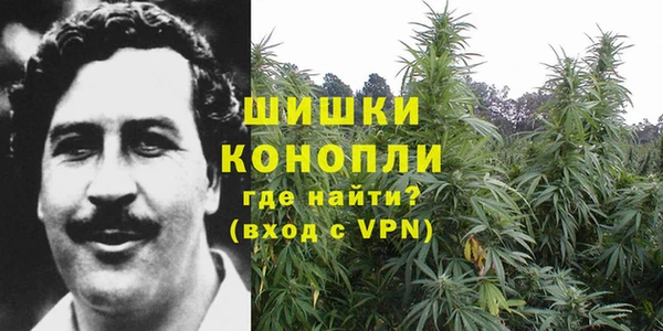 стаф Медногорск