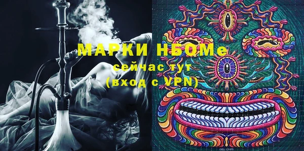 ПСИЛОЦИБИНОВЫЕ ГРИБЫ Михайлов