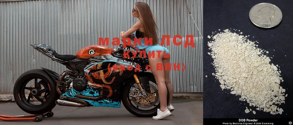 ПСИЛОЦИБИНОВЫЕ ГРИБЫ Михайлов