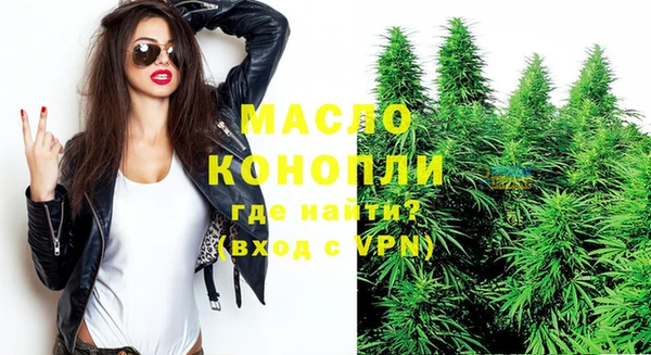 стаф Медногорск