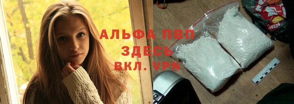 ПСИЛОЦИБИНОВЫЕ ГРИБЫ Михайлов