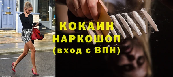 ПСИЛОЦИБИНОВЫЕ ГРИБЫ Михайлов