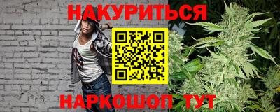 гашик Гатчина