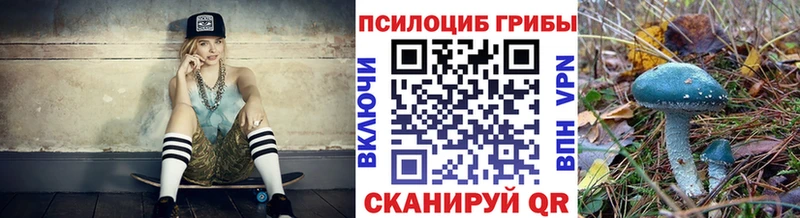 Галлюциногенные грибы Psilocybine cubensis Златоуст