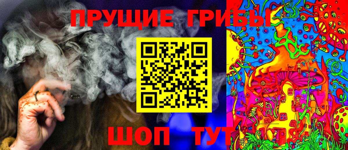 Галлюциногенные грибы Psilocybine cubensis Златоуст