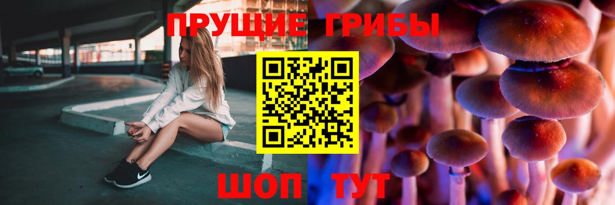 Златоуст  Псилоцибиновые грибы ЛСД  Вход с VPN 